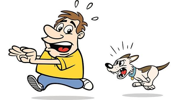 5. Kinofobi - Köpekten korkma hastalığı