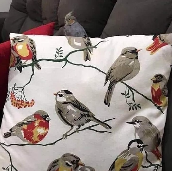 Влился в интерьер