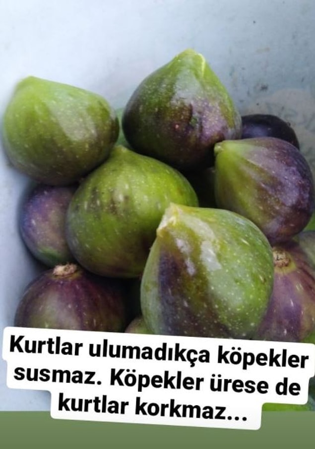 9. İncir yerken aklına gelmiş söz.