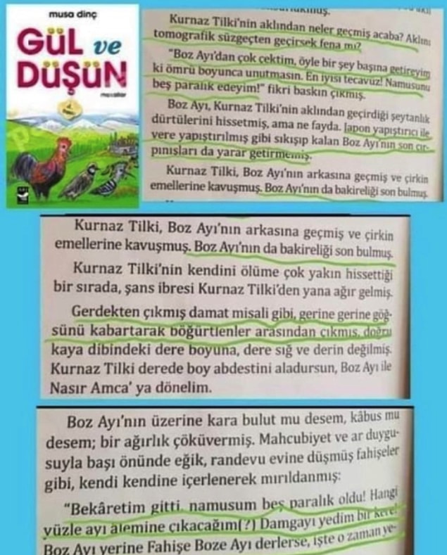9. Çocuk kitabı yazan sapık zihniyetin satırlarına bakın!