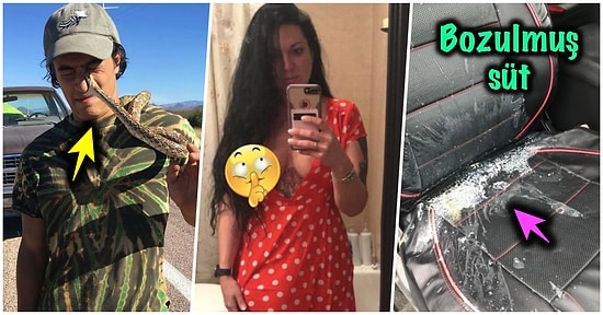 Çöle Düşse Kutup Ayılarıyla Karşılaşıp Birtakım Tatsız Olaylar Yaşayabilecek 17 Bahtsız Kişi