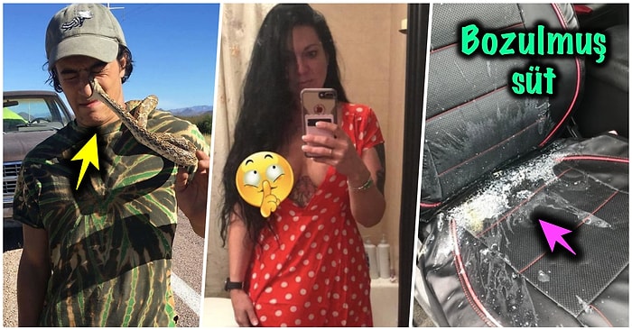 Çöle Düşse Kutup Ayılarıyla Karşılaşıp Birtakım Tatsız Olaylar Yaşayabilecek 17 Bahtsız Kişi