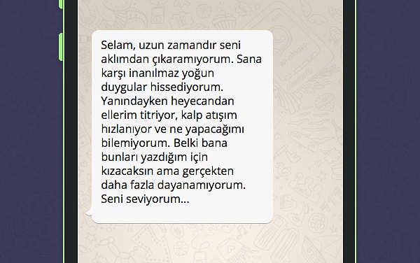 İşte WhatsApp'tan platonik aşkının atacağı mesaj;