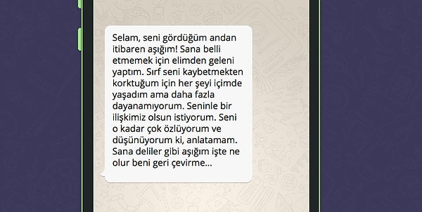 İşte WhatsApp'tan platonik aşkının atacağı mesaj;