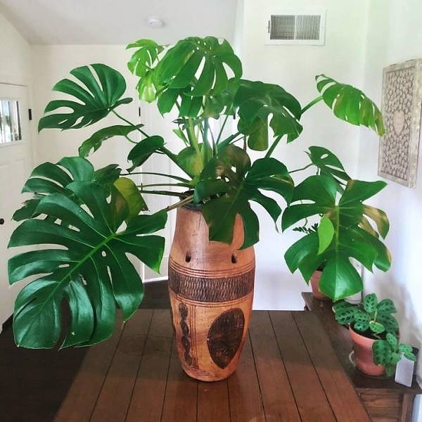 «Переделал старый барабан, который купил на антикварном аукционе. Мне нравится!»