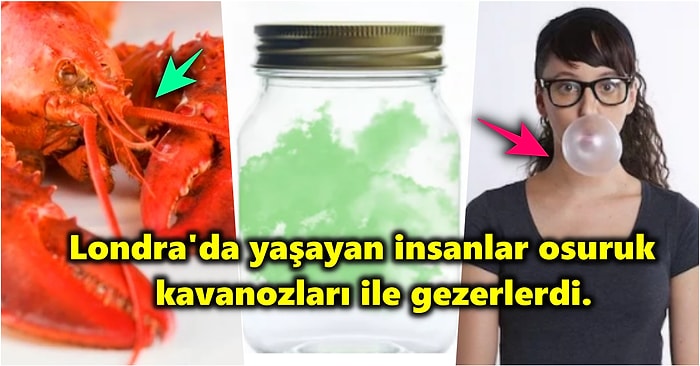 Söylendiğinde Kulağa Palavra Gelse de Yüzde Yüz Doğru Olan Bu 14 Bilgiyi İdrak Etmeniz Bir Müddet Zaman Alacak