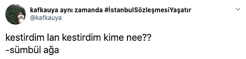 Kanuni Zamanı Twitter Olsaydı, Atılacak Muhtemel Tweetleri Paylaşıp Hepimizi Güldüren Goygoycular