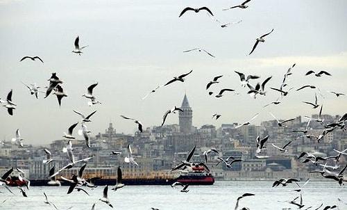 Zenginin Derdi Bile Bir Başka: İstanbul'da Boğaz'a Nazır Bir Yalıda Oturmanın Zorlukları Nelerdir?