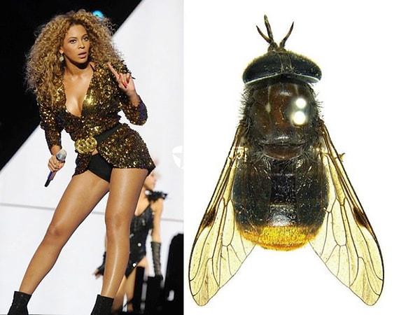 4. Keşfedilen bir sinek türüne onun adı verildi...