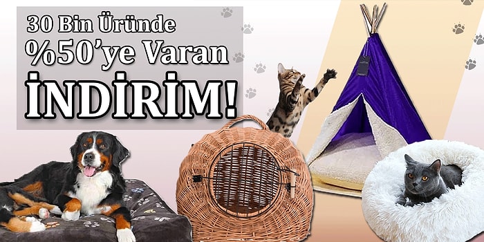 Rahatına Pek Düşkün Olan Evcil Hayvanlarımıza Özel 21 Kedi ve Köpek Yatağı