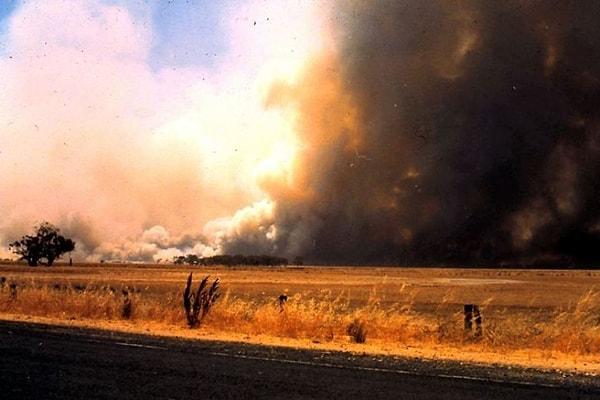 15. Avustralya'da 16 Şubat 1983 Çarşamba günü, yüzden fazla farklı noktada başlayan ve kontrol altına alınamayan yangın sonrasında "Kül Çarşamba" olarak anıldı.