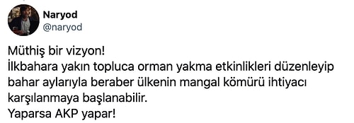 AKP'li Dağ'dan Yeni Ekonomik Açılım: 'Yanan Ağaçlar Mangal Kömürü Olarak Ekonomiye Kazandırılacak'