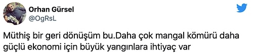 AKP'li Dağ'dan Yeni Ekonomik Açılım: 'Yanan Ağaçlar Mangal Kömürü Olarak Ekonomiye Kazandırılacak'