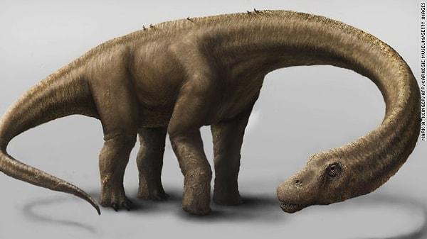 15. 4 Eylül 2014 Perşembe günü palentologlar Dünya üzerinde yaşamış en büyük canlı olduğu düşünülen 65 tonluk dinozorla ilgili bilgileri paylaştılar.