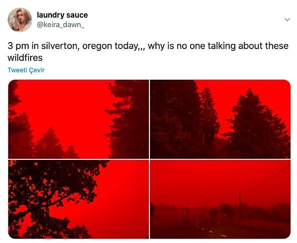 10. "Silveryon, Oregon'da saat 3. Neden kimse bu yangından bahsetmiyor."