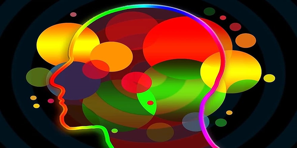 Meral Velibeyoğlu Yazio: Çark Ettim Yolumu Buldum