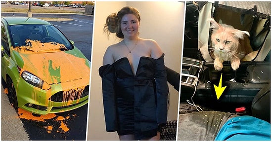 17 ситуаций, которые так же ужасны, как уронить телефон в унитаз (Часть 4)