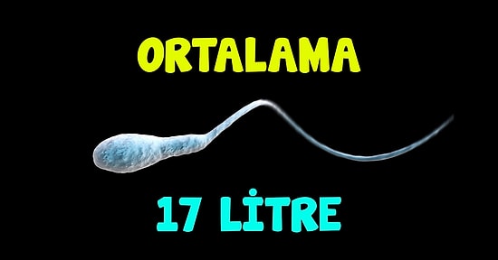 Duyduktan Sonra "Bunca Yıl Boşa Yaşamışım!" Diye Hayıflandıracak, Her Erkeğin Bilmesi Gereken 101 Bilgi