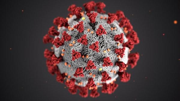 Milyonlarca insanın ölümüne neden olan koronavirüs pandemisi sadece fiziksel sağlığı değil aynı zamanda mental sağlığımızı da etkiliyor.
