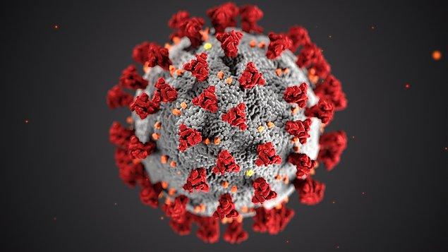 Milyonlarca insanın ölümüne neden olan koronavirüs pandemisi sadece fiziksel sağlığı değil aynı zamanda mental sağlığımızı da etkiliyor.