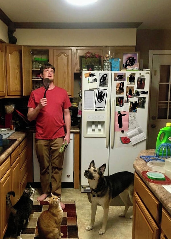 4. На нашей кухне была моль