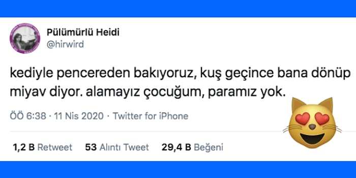 Kedilerle Yaşadıkları Komik ve Tatlı Anları Paylaşarak Herkesi Güldüren Kediseverler