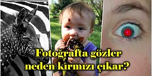 Okulda Öğrenmemizin İmkansız Olduğu Twitter’da Gezinirken Rastlayabileceğimiz Bi’ Hayli Enteresan 15 Bilgi