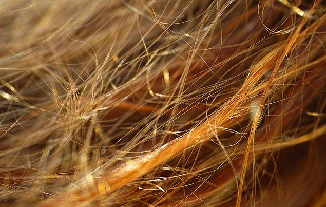 24. Saçımızın bir teli 100 gram ağırlık taşıyabilir.