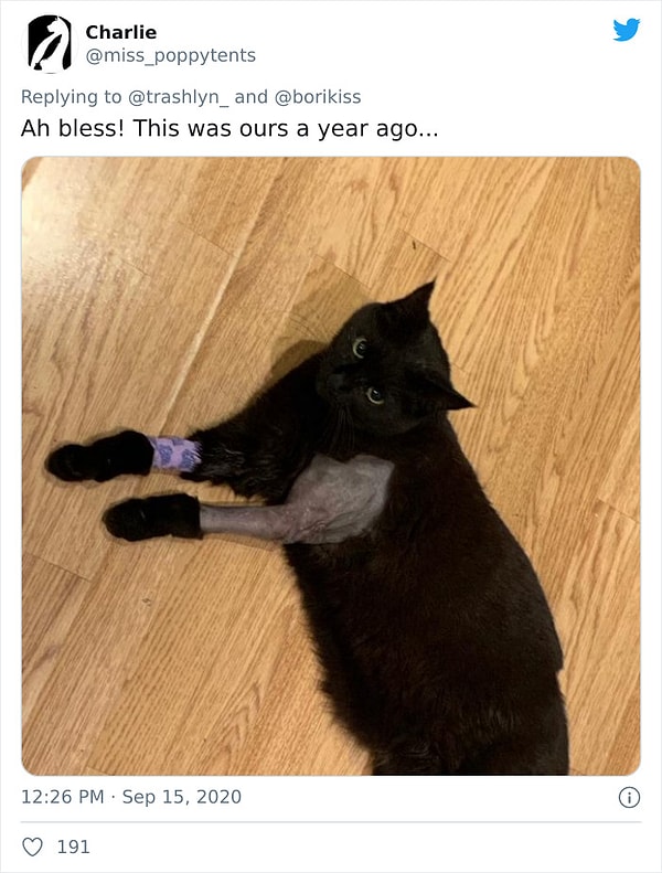 23. Это было год назад