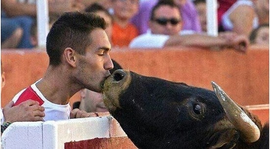 15 фотографий, за которыми стоит история, хотя они кажутся совершенно обычными на первый взгляд