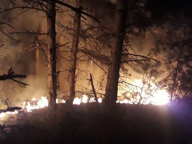 İzmir'de çıkan orman yangını Balıkesir'e sıçradı