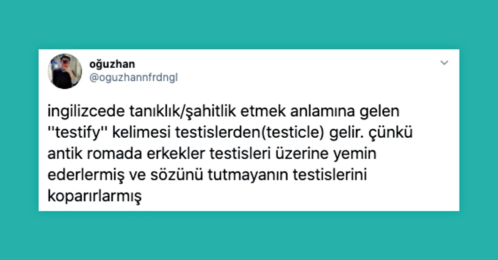 'Bana Bilmediğim Bir Şey Söyle' Diyerek Fotoğrafını Paylaşan Genç Kadına Verilen Cevaplar, Dimağınızı Arşa Değdirecek!
