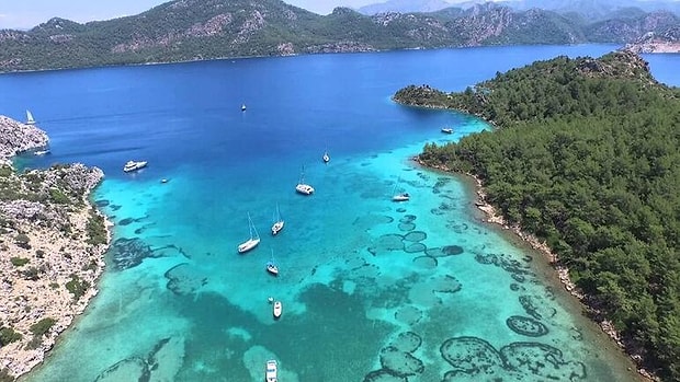 Deniz varsa ben de varım!