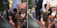 Dışarı Çıktığında Korkudan İnsan Dostunun Elini Bırakmayan Yavru Köpeğin İzlerken Pamuk Gibi Olacağınız Anları