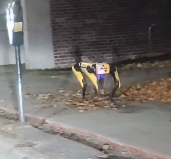 Этот продвинутый щенок может передвигаться по пересеченной местности, подниматься по лестнице, прыгать, открывать запертые двери и продается за 74 500 долларов.