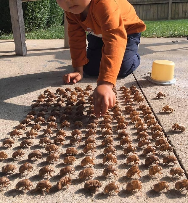 6. "Ağustos böceklerden ordu kuran bir çocuk."