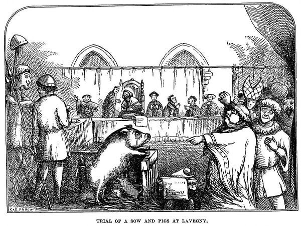 11. 1800'lü yıllara kadar hayvanlar da insanlar gibi mahkemeye çıkartılıp cinayet gibi suçlar için cezaya çarptırılıyorlardı.