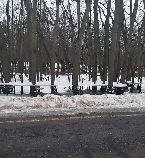 15. Река затопила лес, потом замерзла, далее вода сошла, оставив эти парящие ледяные полки на деревьях