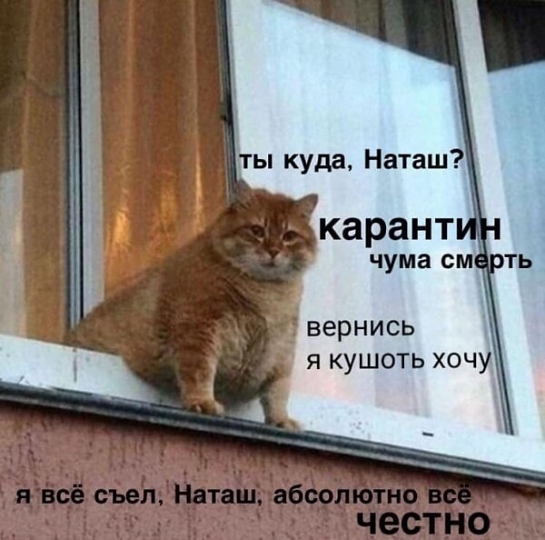 Наташа, ты куда?