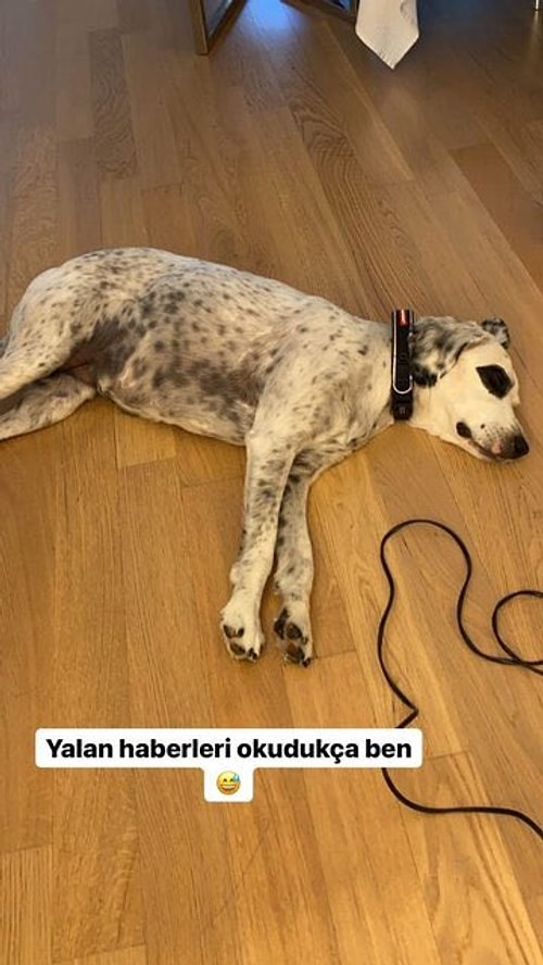 Hadise, Kaan Yıldırım ile ayrıldıkları iddialarına 'Benek'li bir yanıt verdi!