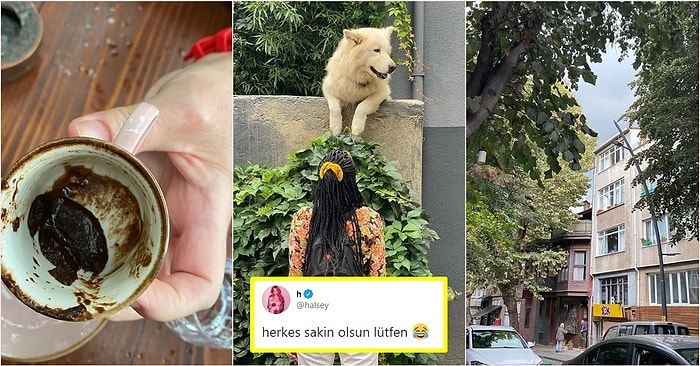 Türkiye'ye Gelen Şarkıcı Halsey Kuzguncuk'un Maskotu Rocky'le Fotoğrafını Paylaştı, Dünya Birkaç Dakikalığına Güzelleşti