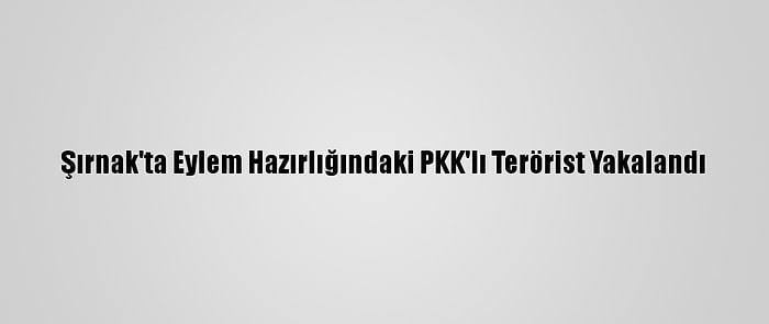 Şırnak'ta Eylem Hazırlığındaki PKK'lı Terörist Yakalandı