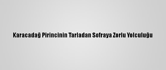 Karacadağ Pirincinin Tarladan Sofraya Zorlu Yolculuğu