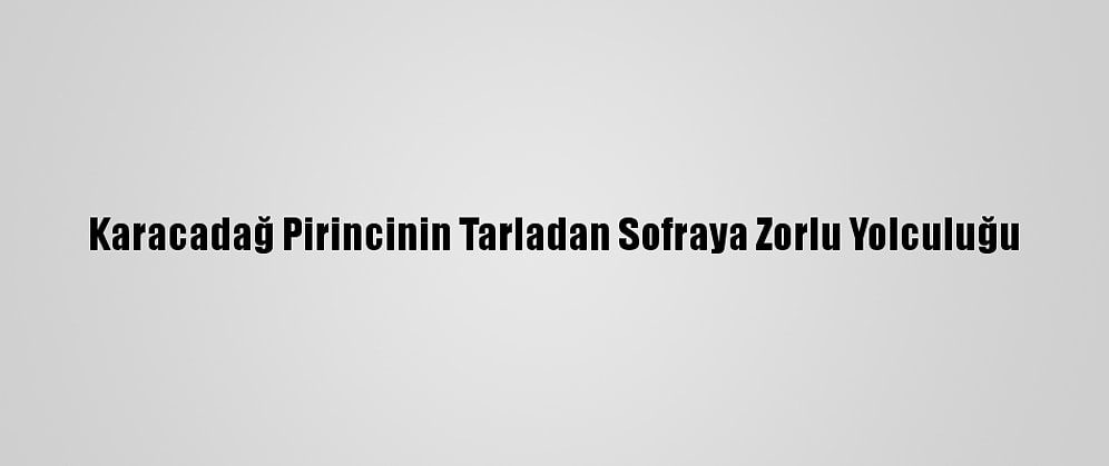 Karacadağ Pirincinin Tarladan Sofraya Zorlu Yolculuğu