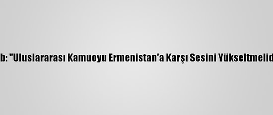 Msb: "Uluslararası Kamuoyu Ermenistan'a Karşı Sesini Yükseltmelidir"