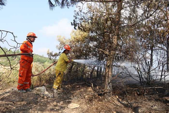 Hatay'daki Yangında Soğutma Çalışmaları Sürüyor: '2 Yeni Şüpheli Daha Var'