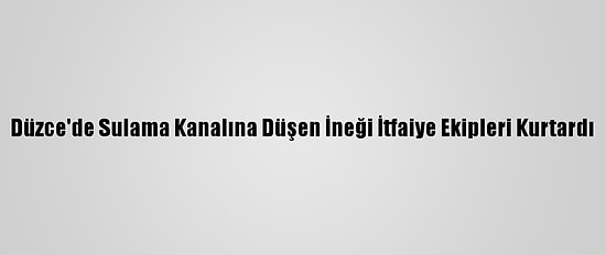 Düzce'de Sulama Kanalına Düşen İneği İtfaiye Ekipleri Kurtardı