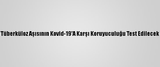 Tüberküloz Aşısının Kovid-19'A Karşı Koruyuculuğu Test Edilecek