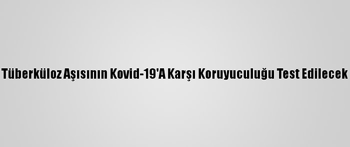 Tüberküloz Aşısının Kovid-19'A Karşı Koruyuculuğu Test Edilecek