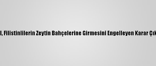 İsrail, Filistinlilerin Zeytin Bahçelerine Girmesini Engelleyen Karar Çıkardı